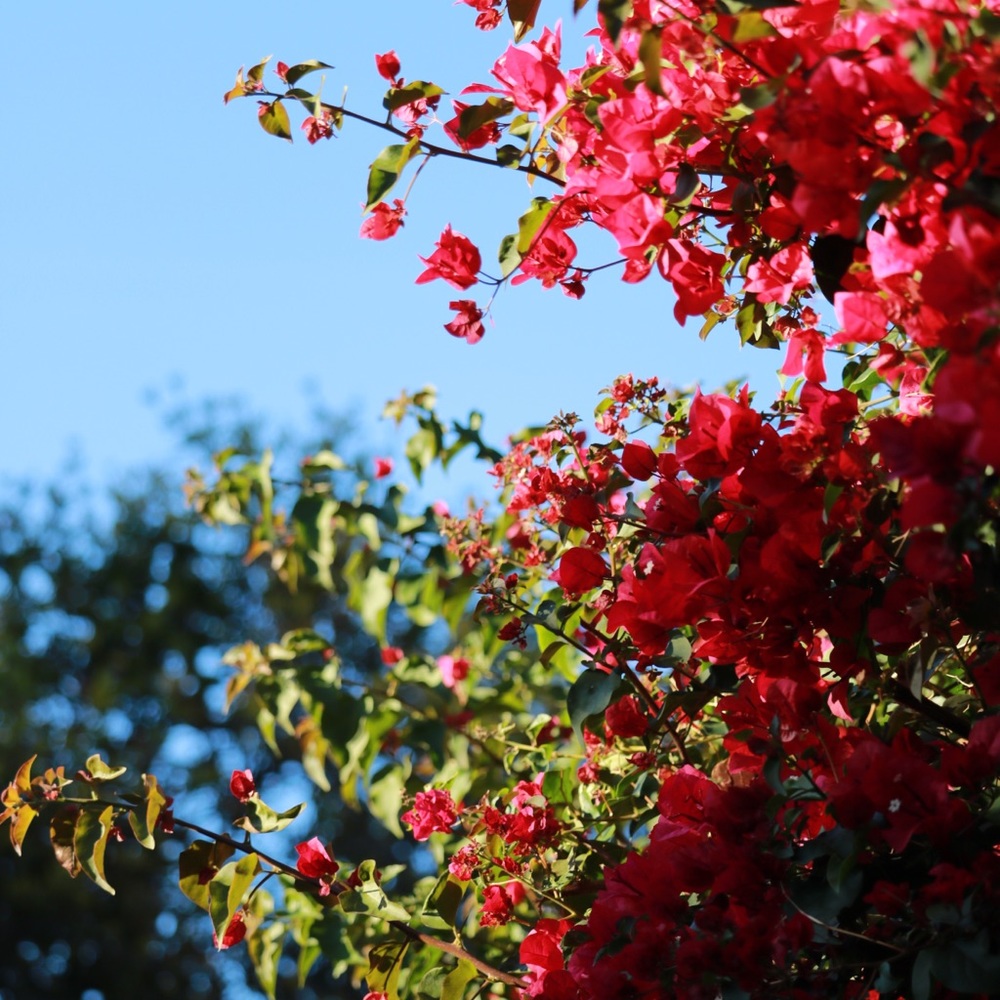 Meet your Posher, Ke